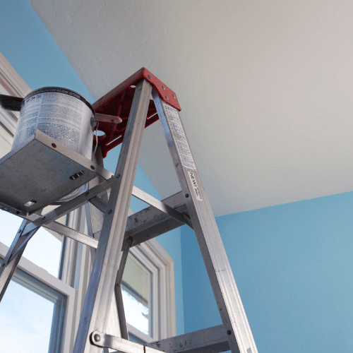 Painters in Plano TX